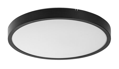 Alenzo (71436)