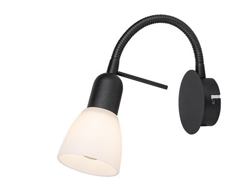 Soma (73090)