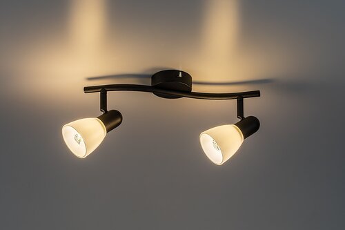 Soma (73092)