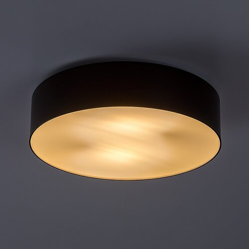 Dolen (75065)
